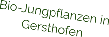 Bio-Jungpflanzen in Gersthofen